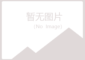 日照岚山从灵能源有限公司